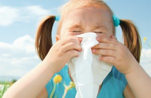 5 Common Allergens at School