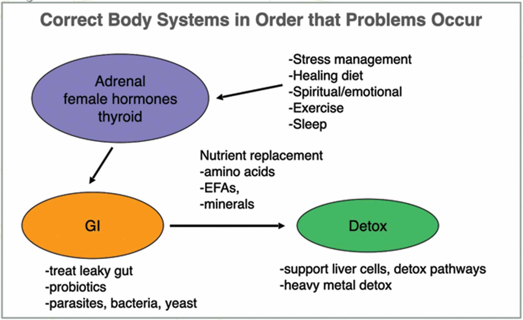 The Three Major Triggers of Illness and the Three Organ Systems They Affect