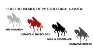 The Four Horsemen of Disease
